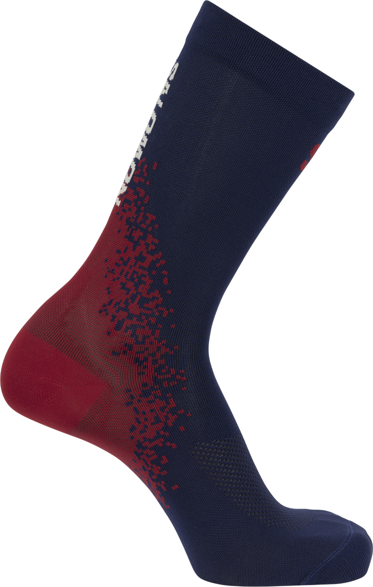 Socken Salomon GRVL CREW