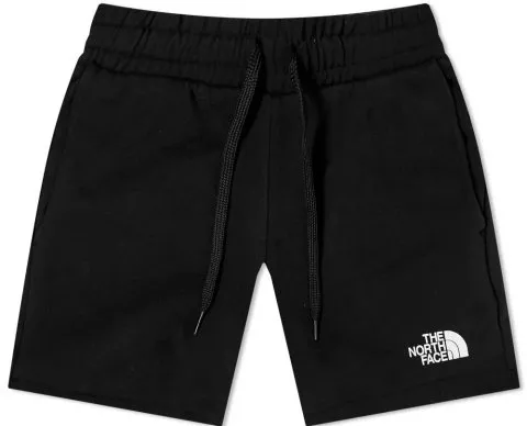 The North Face Logowear Shorts
