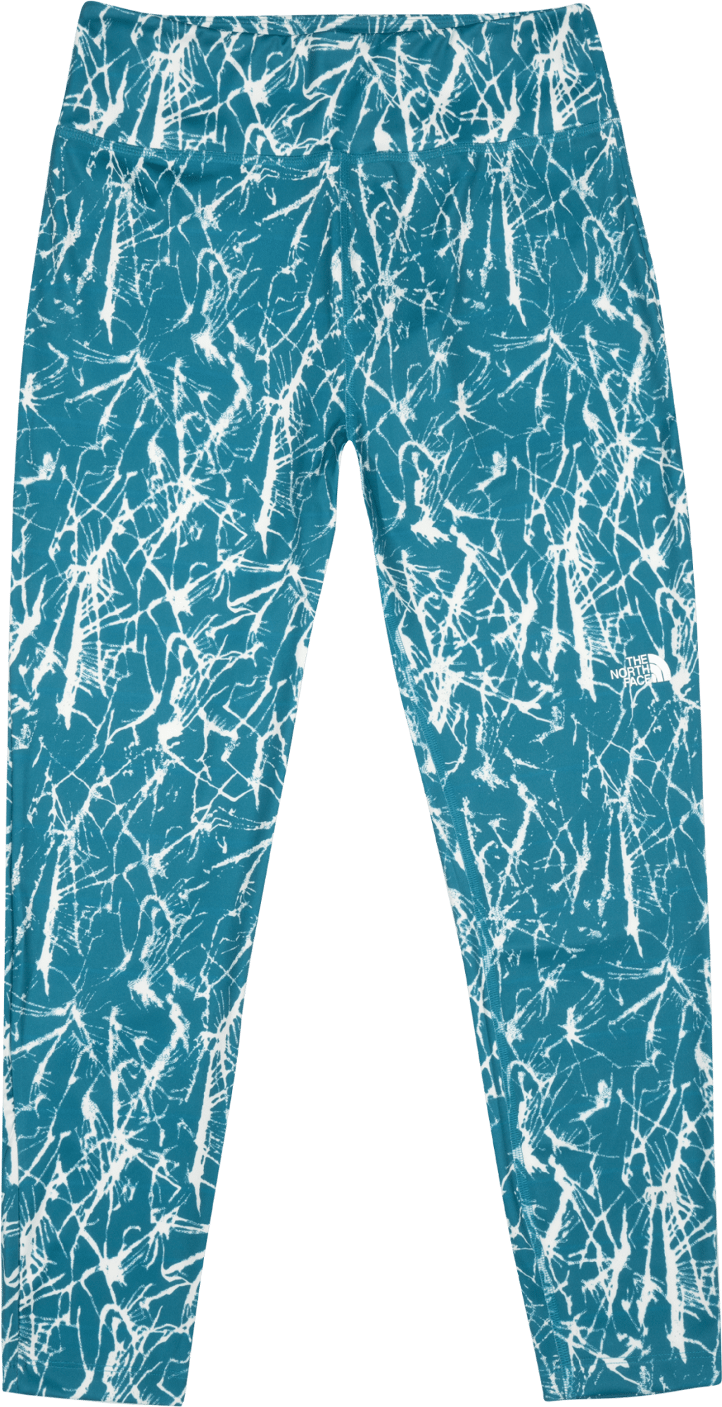 The North Face Standard leggings women