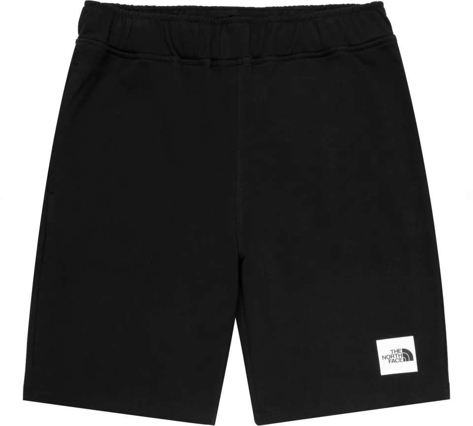 The North Face Summer logo shorts