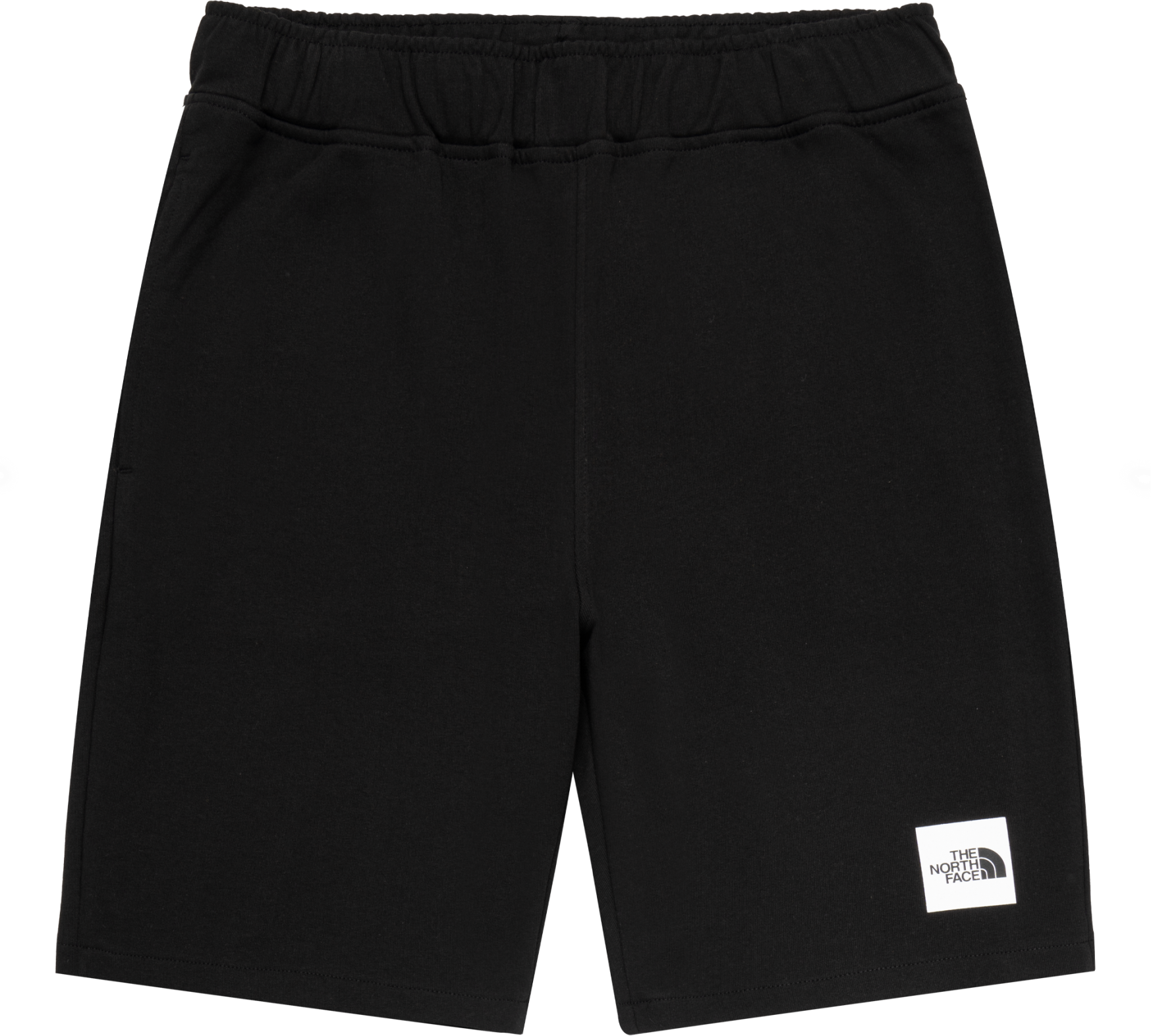 The North Face Summer logo shorts
