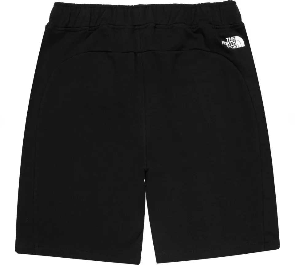The North Face Summer logo shorts