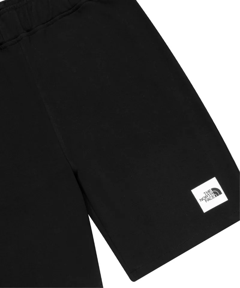 The North Face Summer logo shorts
