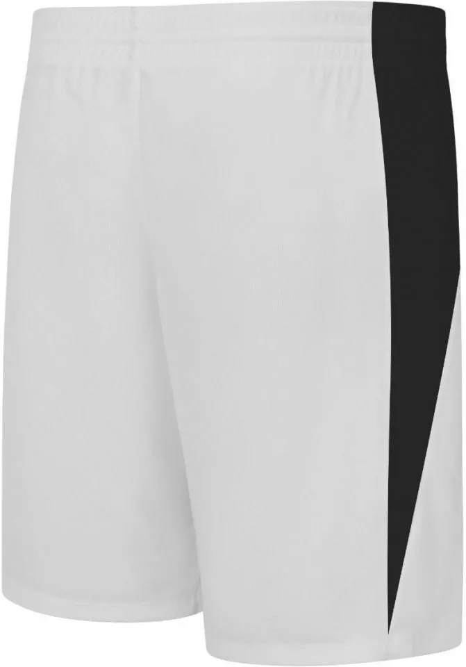 Šortky Nike MEN S TEAM BASKETBALL STOCK SHORT