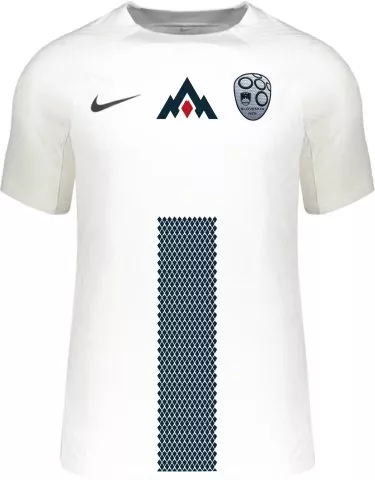 adidas EURO Jerseys 2024 17