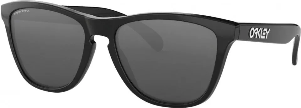 Solglasögon Oakley FROGSKINS