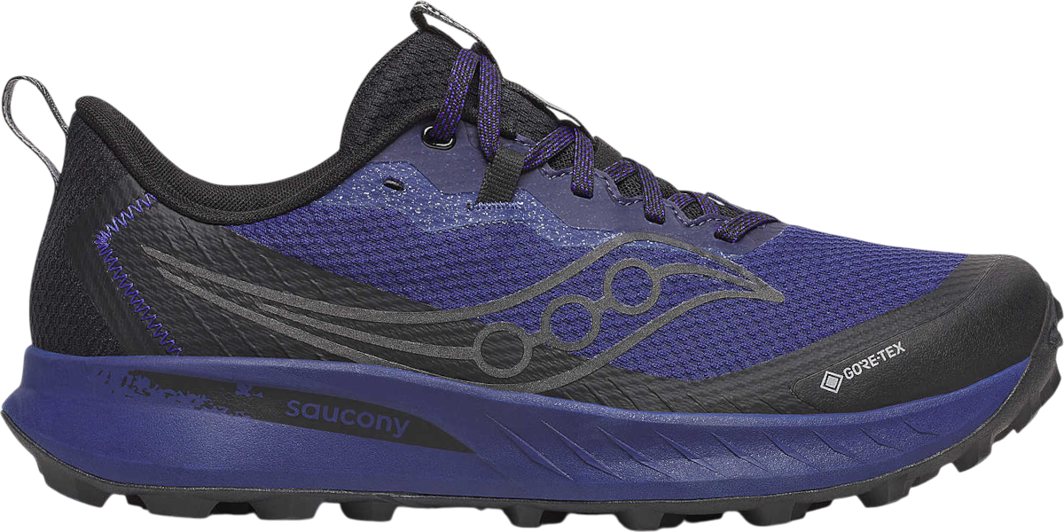 Παπούτσια Trail Saucony PEREGRINE 15 GTX