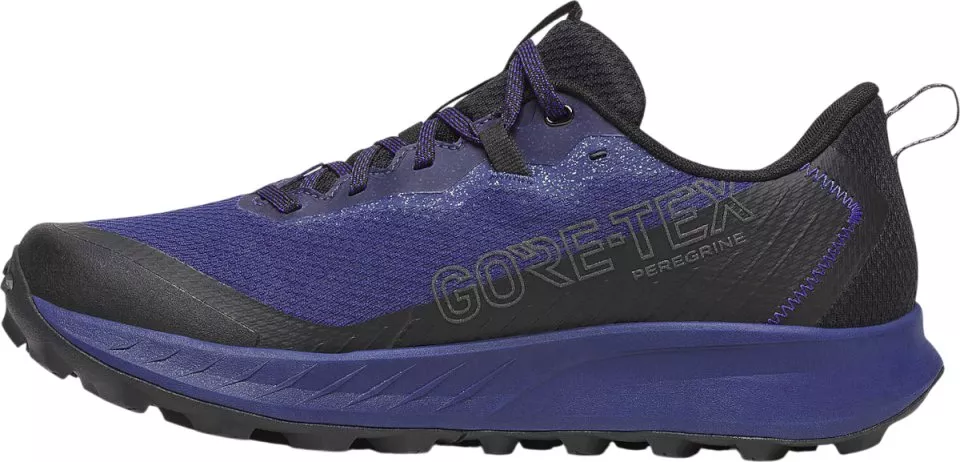 Παπούτσια Trail Saucony PEREGRINE 15 GTX