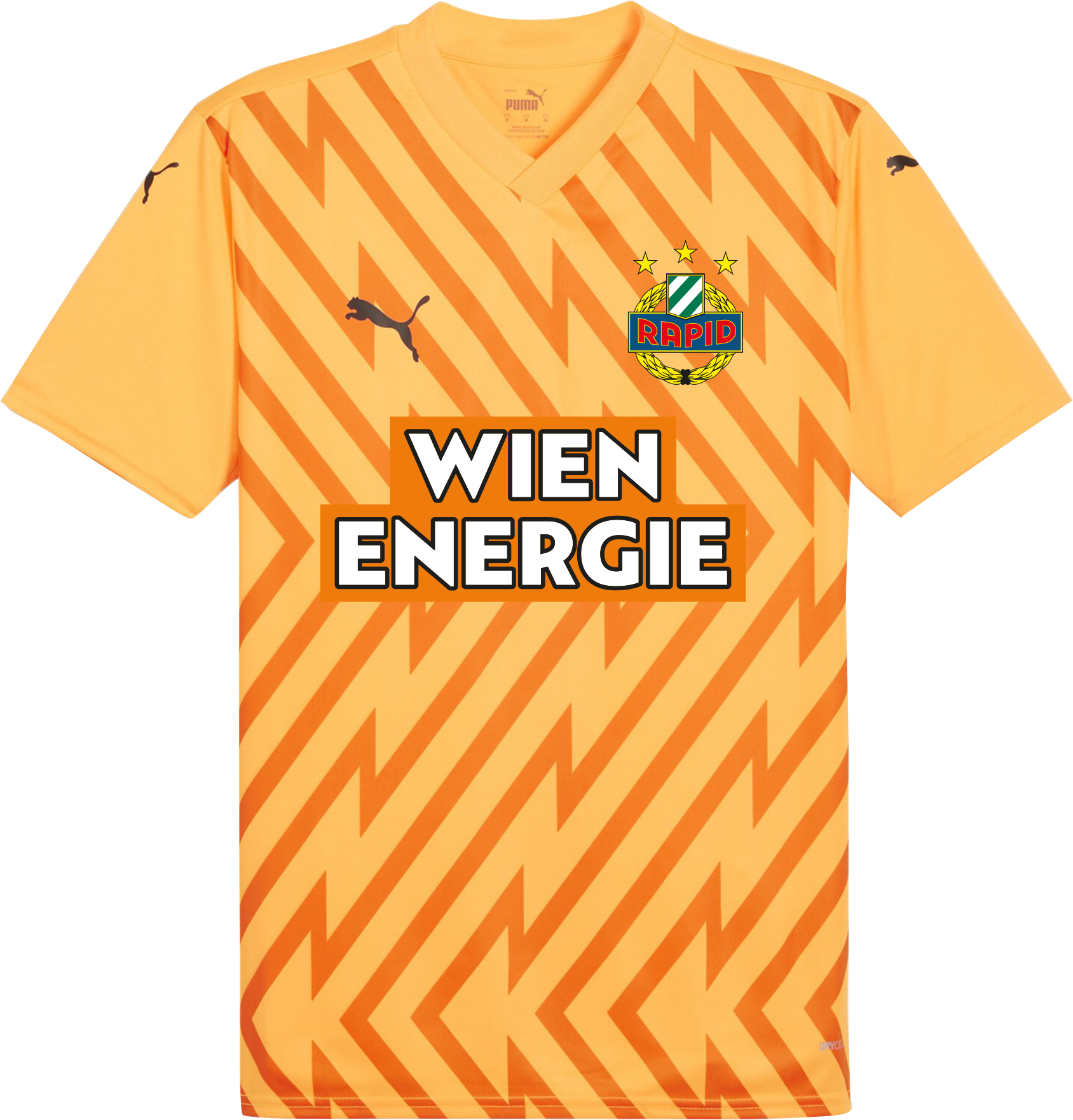 Puma SK Rapid Goalkeeper Jersey 2024/25 Youth Póló