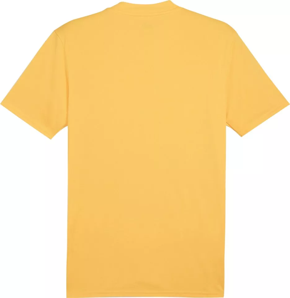 Puma SK Rapid Goalkeeper Jersey 2024/25 Youth Póló