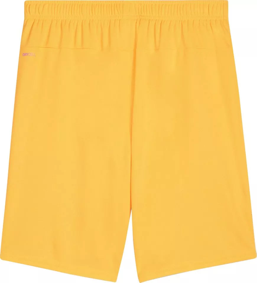 Puma SK Rapid Wien Goalkeeper Shorts 2024/2025 Rövidnadrág