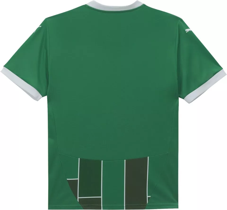 Dětský fotbalový dres s krátkým rukávem Puma SK Rapid Wien 2024/25, domácí
