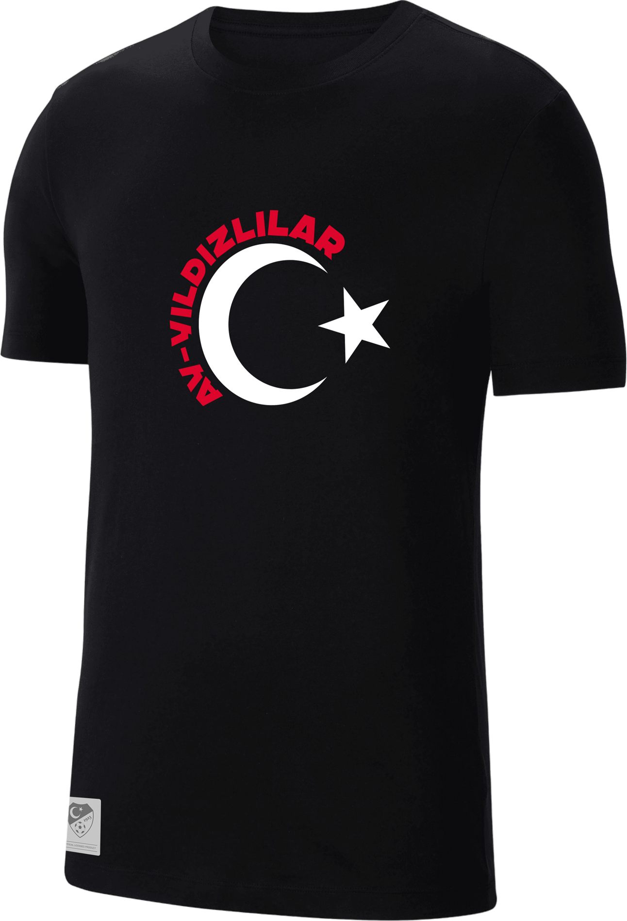 Majica Nike TFF T-Shirt EC 2024