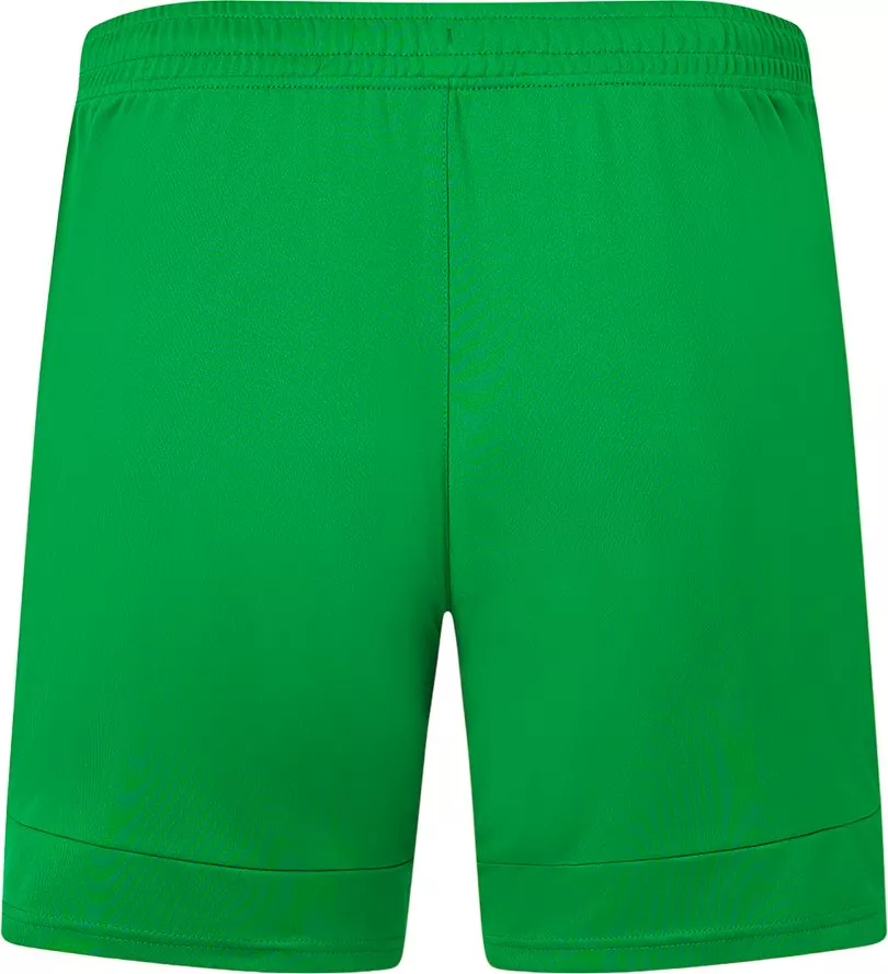 Castore Ireland Short Away 2024 Rövidnadrág