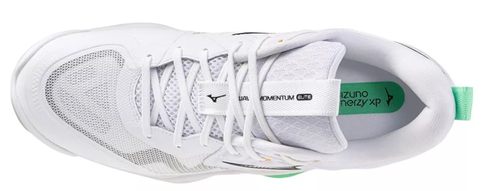 Indoorové topánky Mizuno Wave Momentum Elite shoe