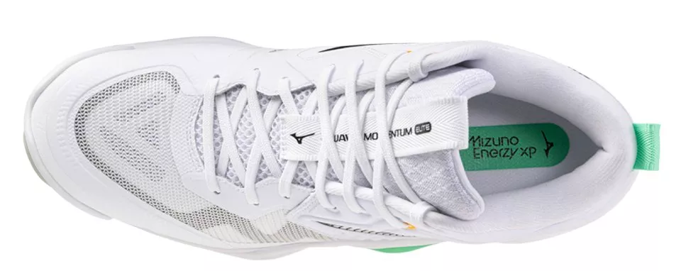 Вътрешни обувки Mizuno Wave Momentum Elite Mid shoe