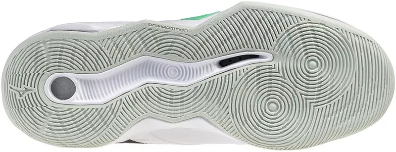 Unisex volejbalová obuv Mizuno Wave Momentum Pro