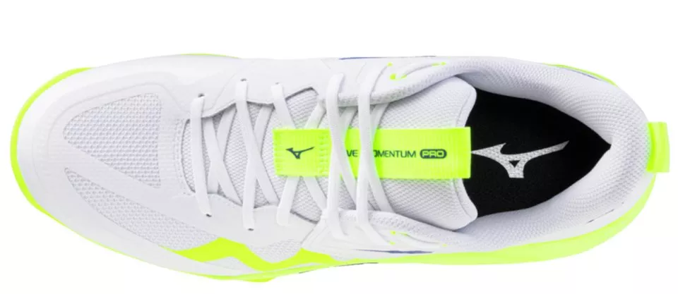 Indoorové topánky Mizuno Wave Momentum Pro