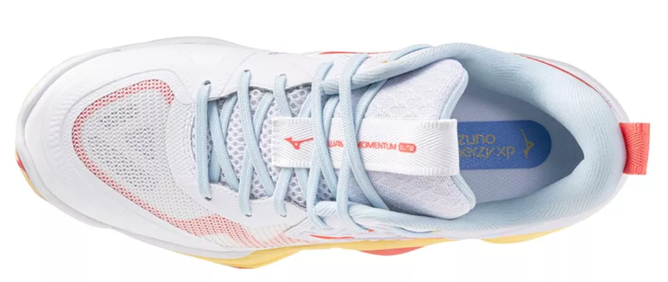 Вътрешни обувки Mizuno Wave Momentum Elite shoe Women