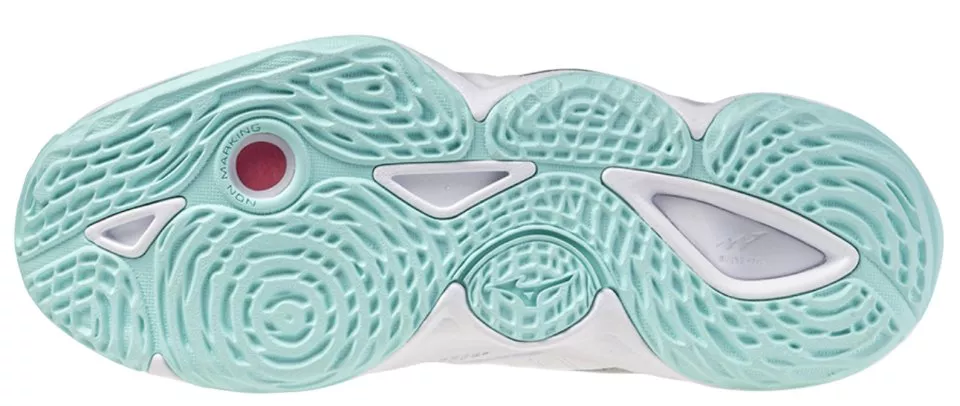 Вътрешни обувки Mizuno Wave Momentum Elite Mid shoe Women