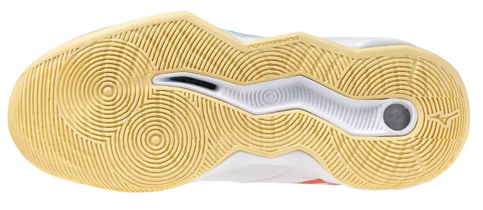 Вътрешни обувки Mizuno Wave Momentum Pro shoe Women