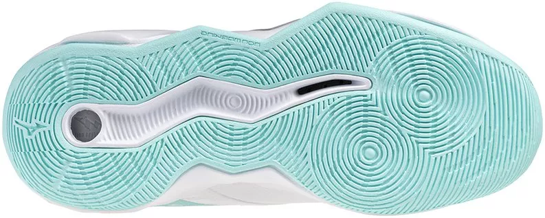 Dámská volejbalová obuv Mizuno Wave Momentum Pro