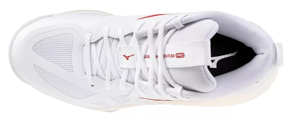 Scarpe da interno Mizuno Wave Momentum Pro Mid Women