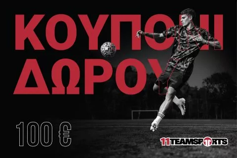 11teamsports 100€