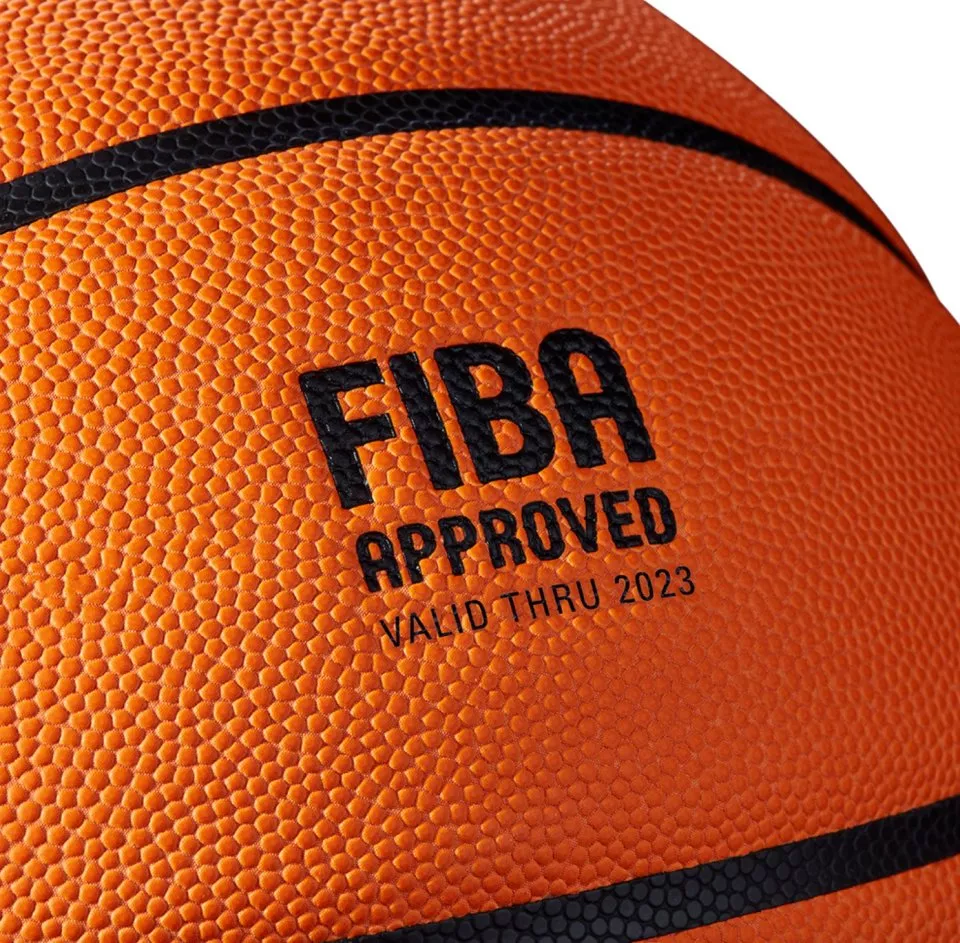 Žoga Wilson Evo Next Game Champions Basketball