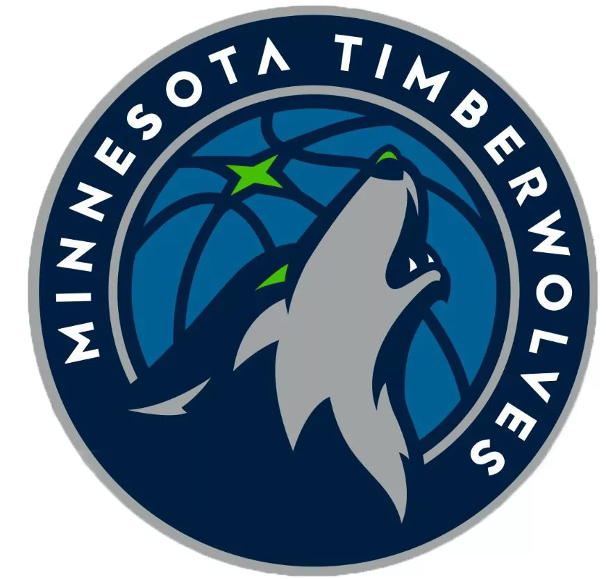 obroč Wilson NBA TEAM MINI HOOP MINNESOTA TIMBERWOLVES