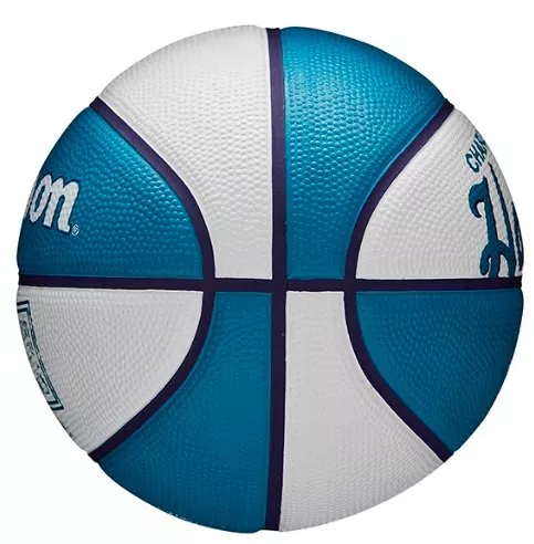Wilson NBA TEAM RETRO BASKETBALL MINI CHAR HORNETS Labda