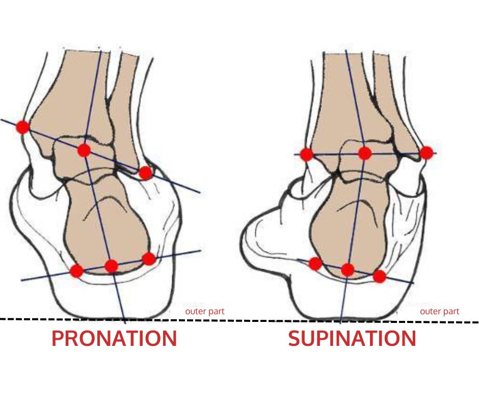 Feet pronation hot sale and supination