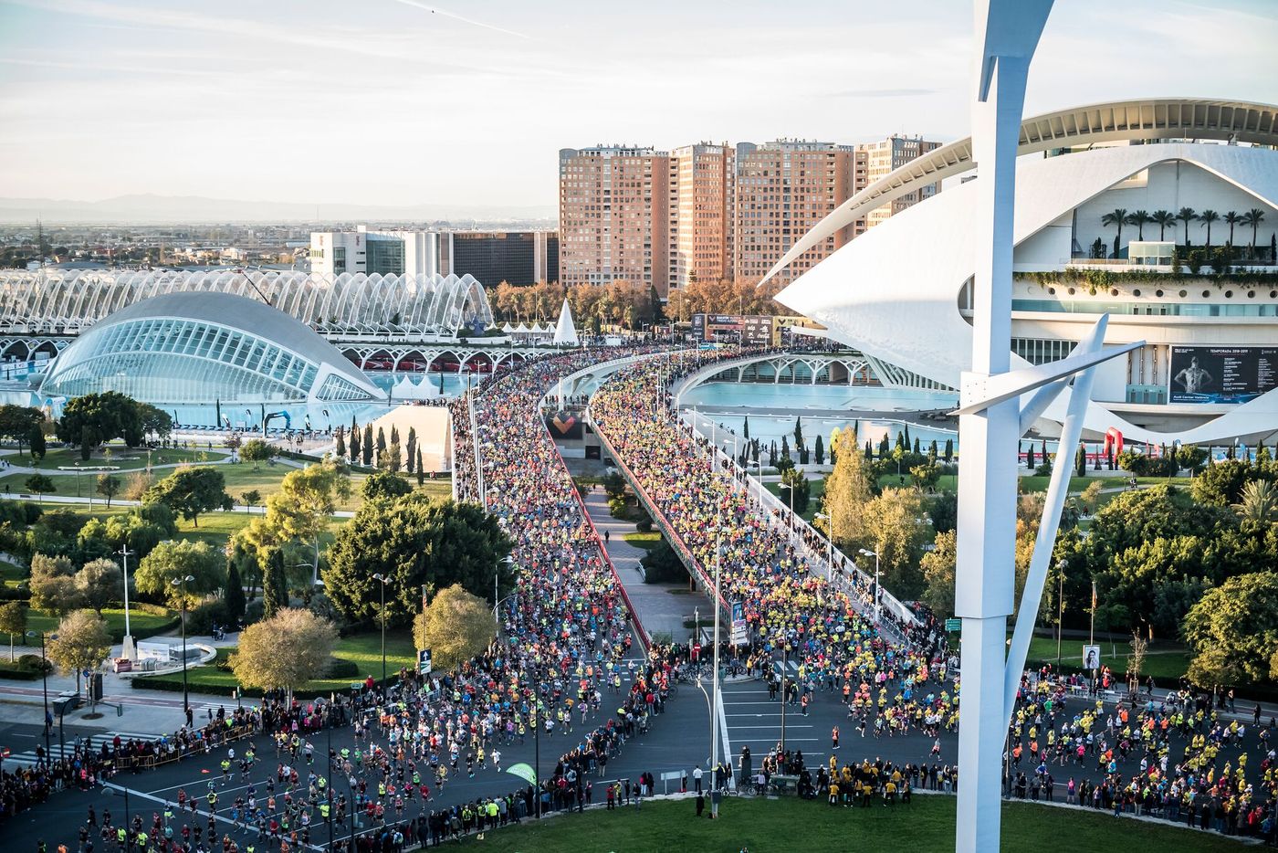 valencia maratón