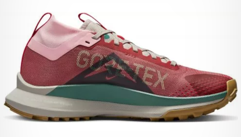 Nike_Pegasus_trail_goretex