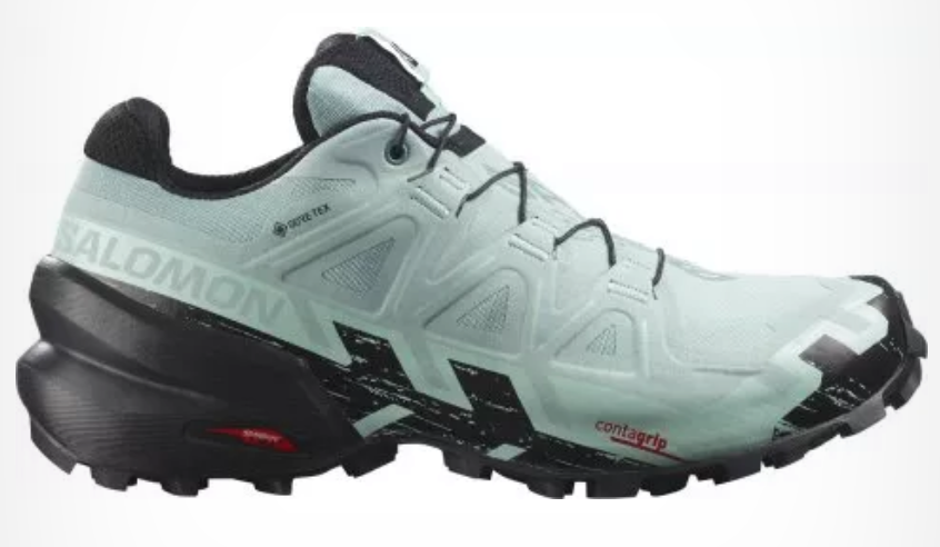 Salomon_speedcross