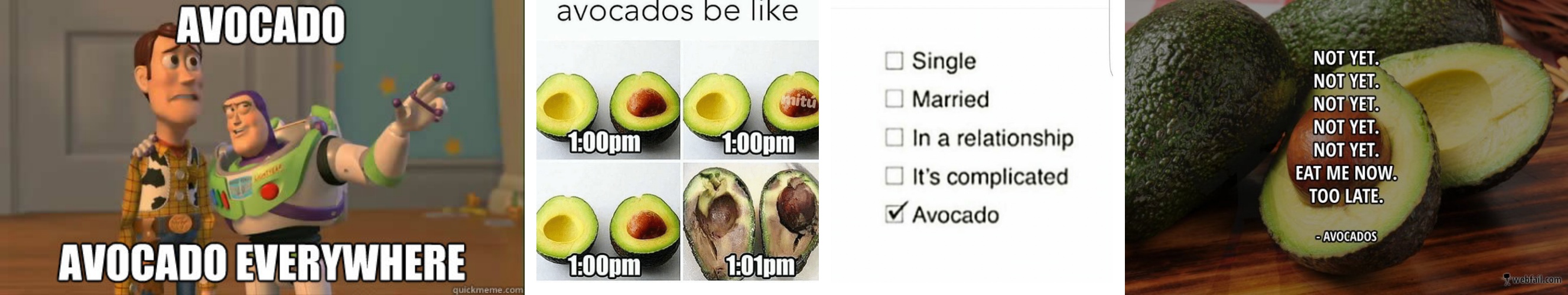 avocado love