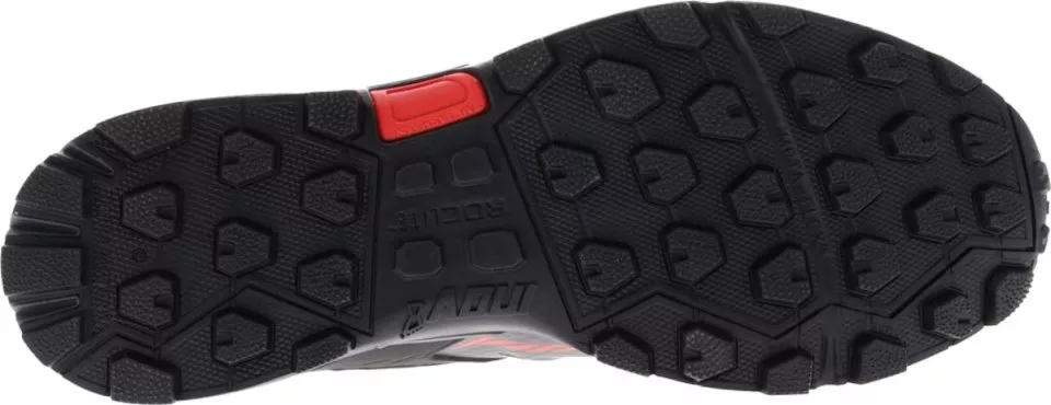 Trail shoes INOV-8 Roclite G 315 GTX® V2 (M)