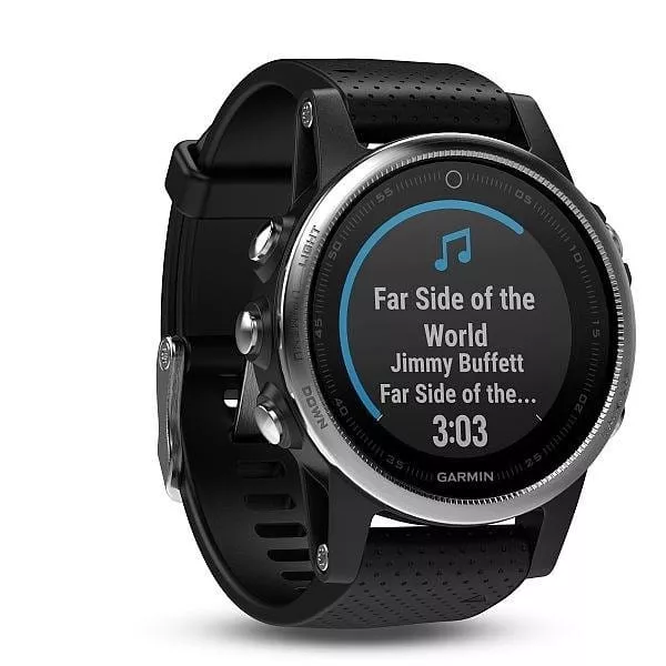 Garmin FENIX5S Silver Optic, Black Band Karórák