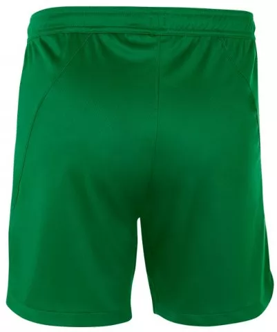 Pánské sportovní šortky Nike Team Court