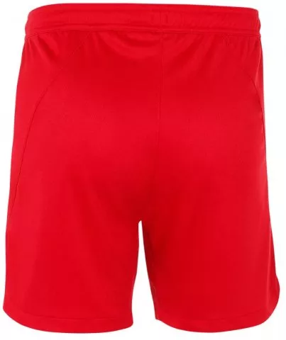 Pánské sportovní šortky Nike Team Court