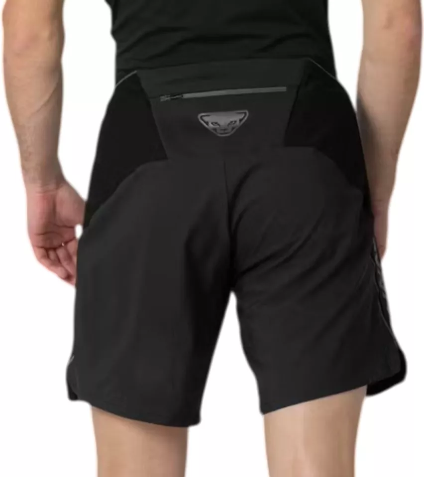 Kratke hlače Dynafit ALPINE PRO 2/1 SHORTS M