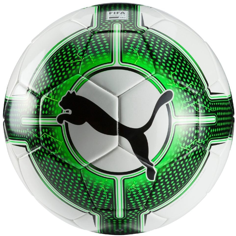 Lopta Puma evo POWER 1.3 Futsal