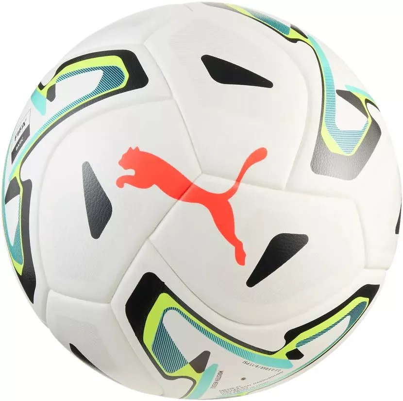 Minge Puma STELLAR Goal Hardground (FIFA Basic)
