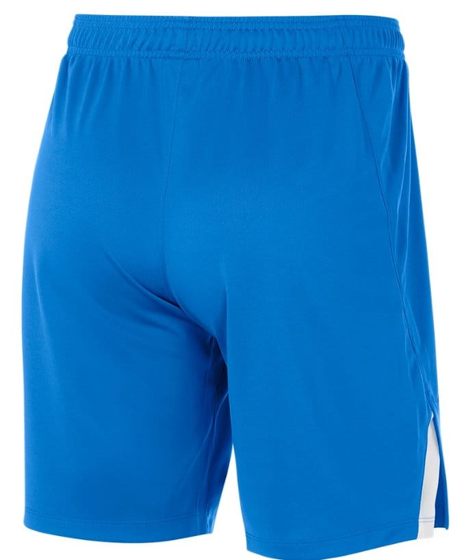 Pánské sportovní šortky Nike Team Spike