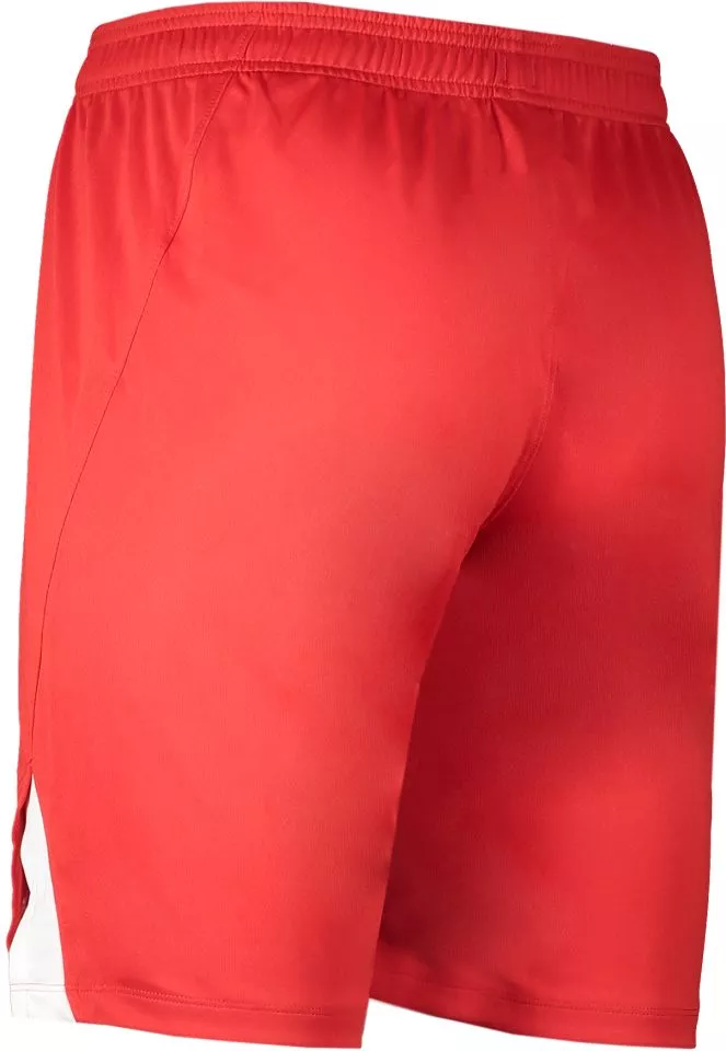 Σορτς Nike MENS TEAM SPIKE SHORT