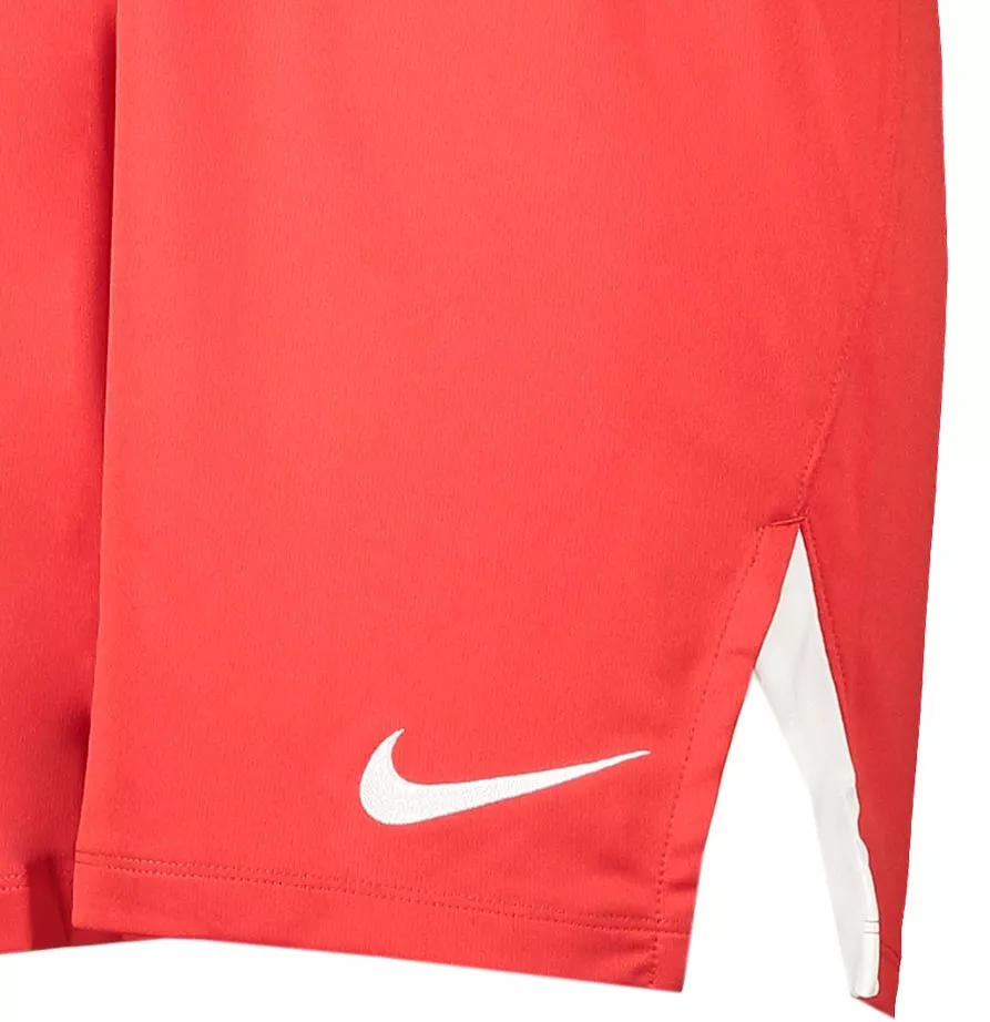Σορτς Nike MENS TEAM SPIKE SHORT