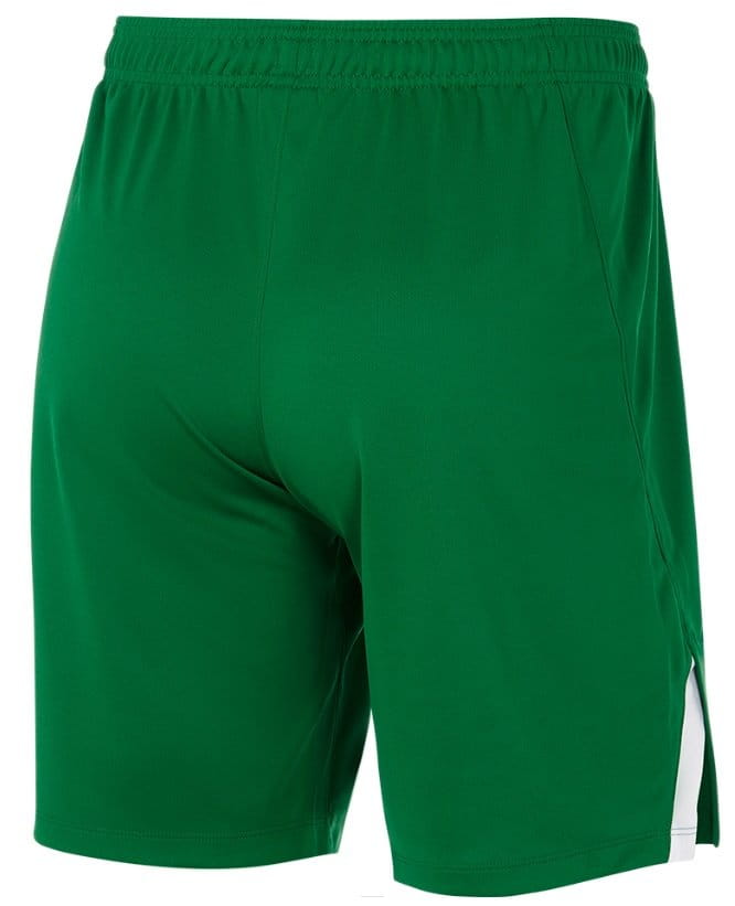 Σορτς Nike YOUTH TEAM SPIKE SHORT