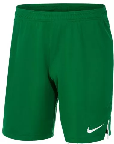 Σορτς Nike YOUTH TEAM SPIKE SHORT