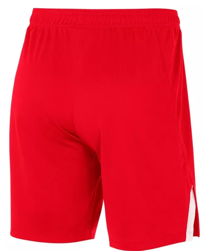 Pantalón corto Nike YOUTH TEAM SPIKE SHORT