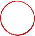 Rot